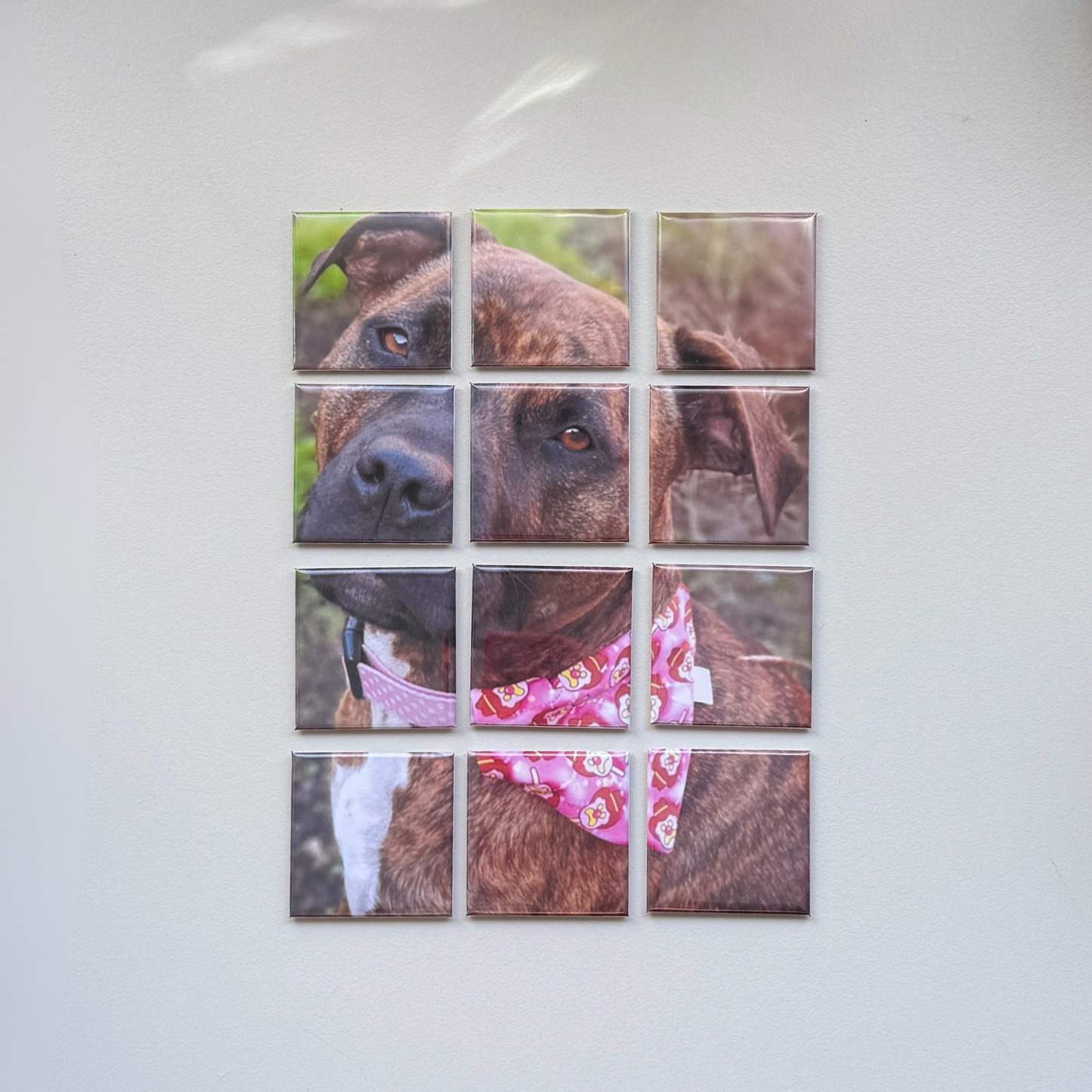 12-Piece Custom Pet Photo Puzzle Magnets Australia | Personalised Fridge Magnets