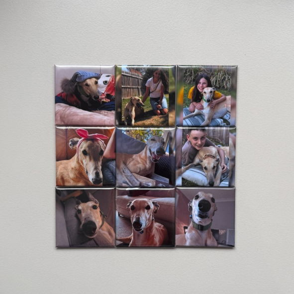 Pet Memorial Gifts Australia | Meaningful Keepsakes for Losing a Pet