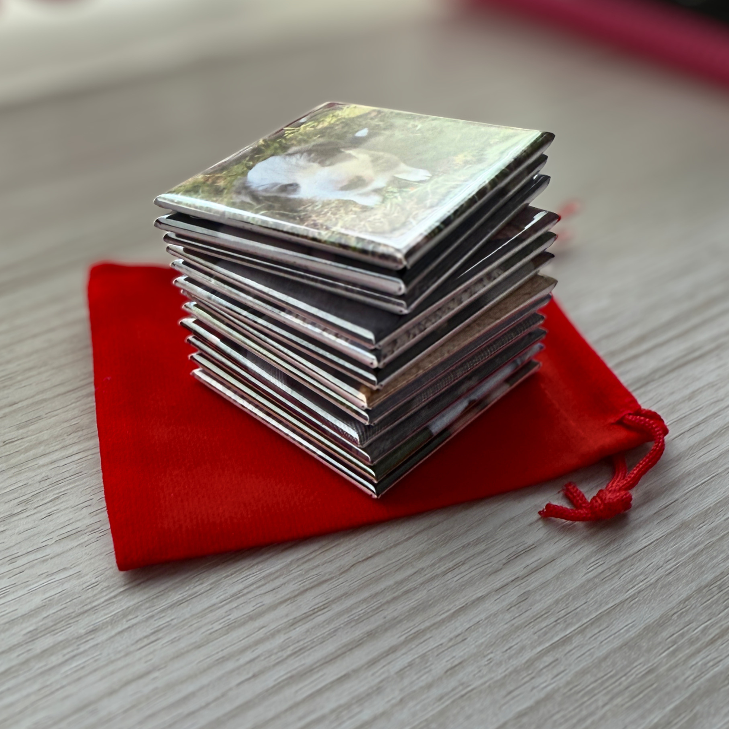 Pet Photo Magnets
