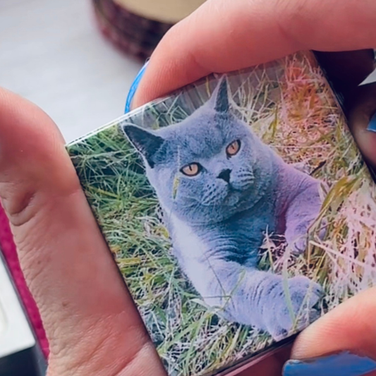 Pet Photo Magnets