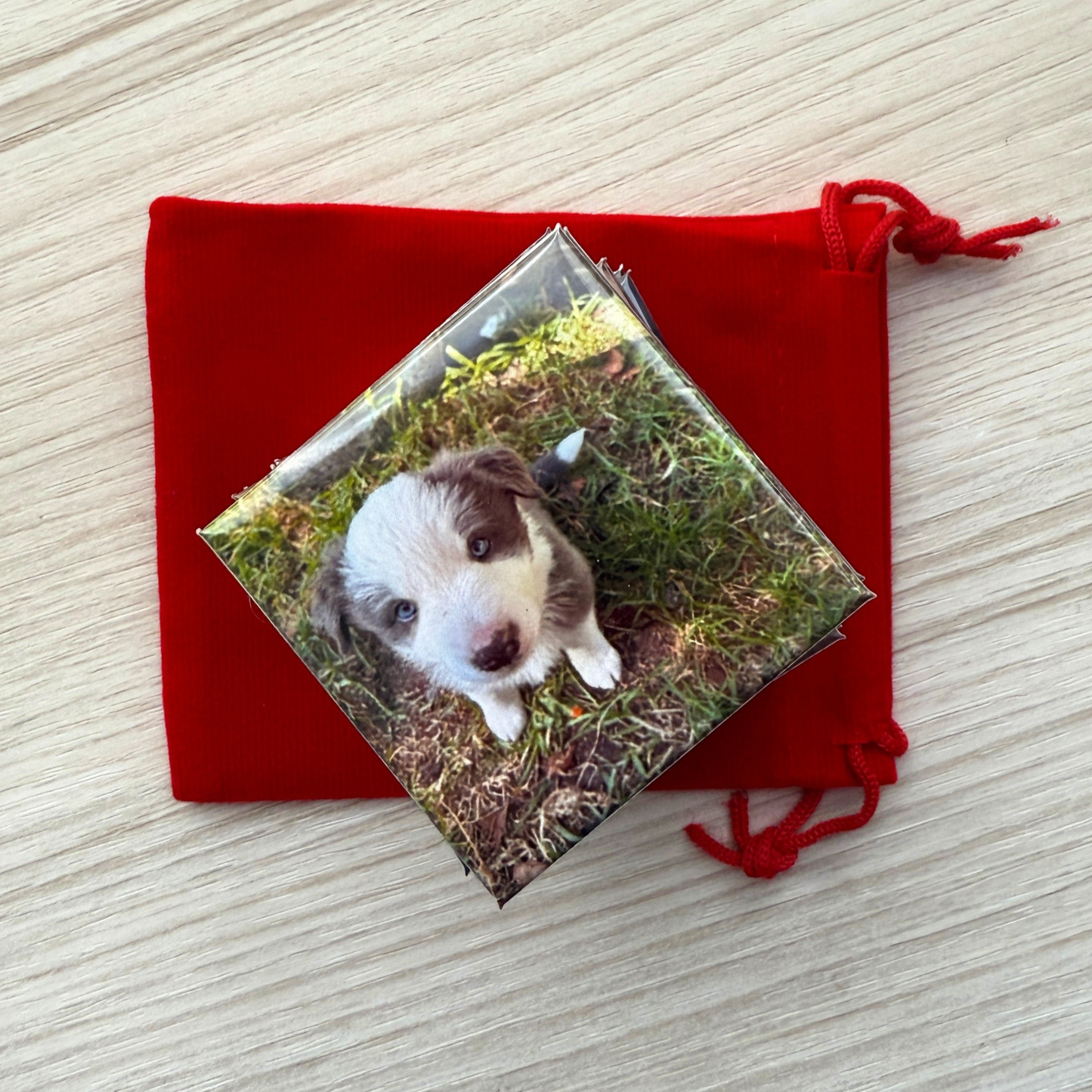Pet Photo Magnets