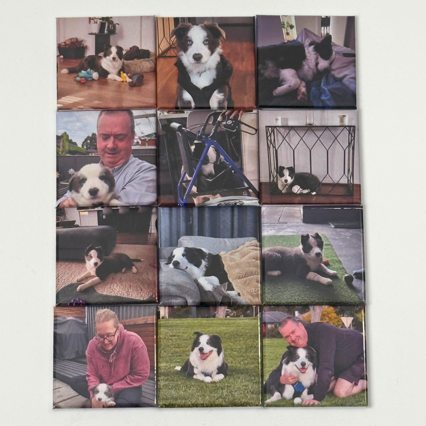 Pet Photo Magnets