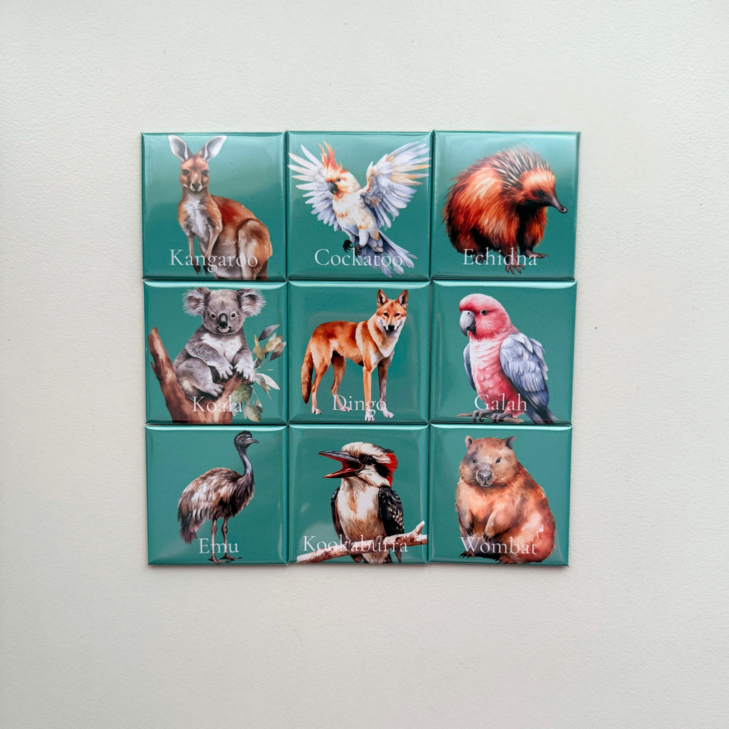 The Australian Wildlife Collection | Set of 9 Fridge Magnets Australia
