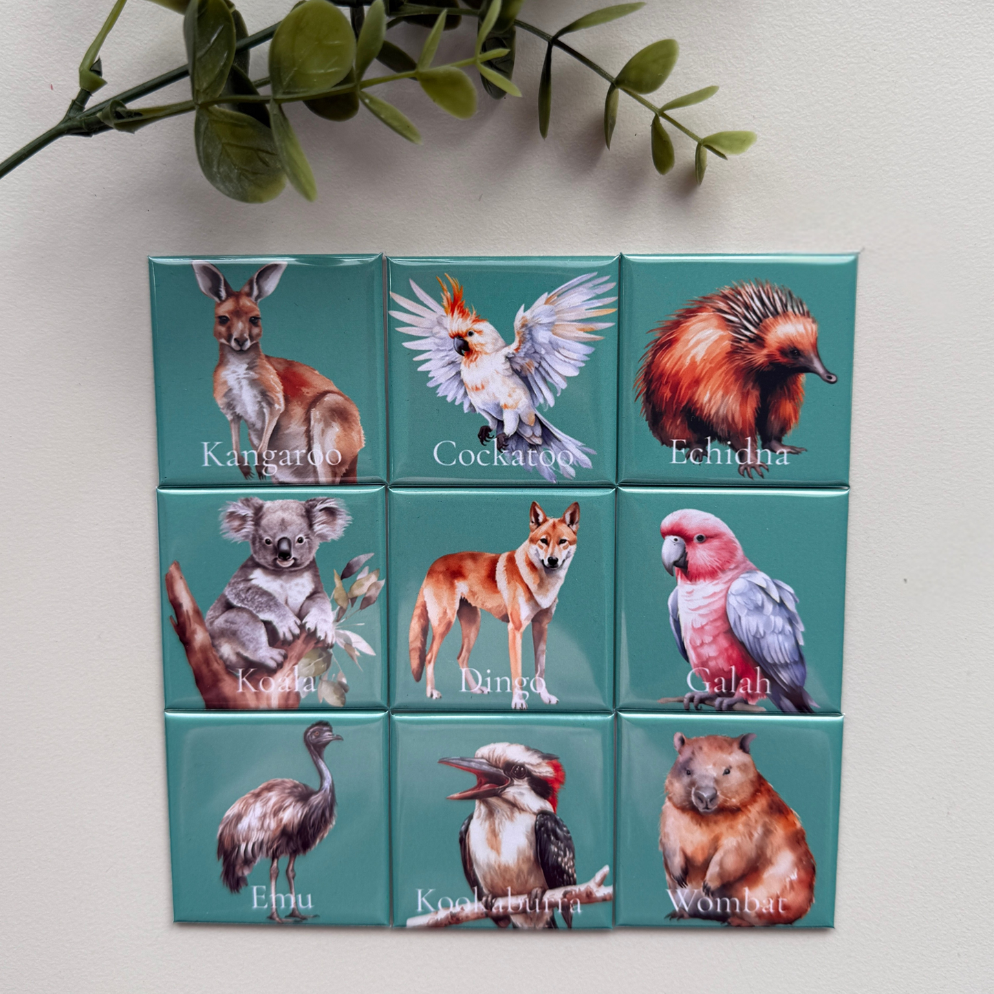 The Australian Wildlife Collection | Set of 9 Fridge Magnets Australia