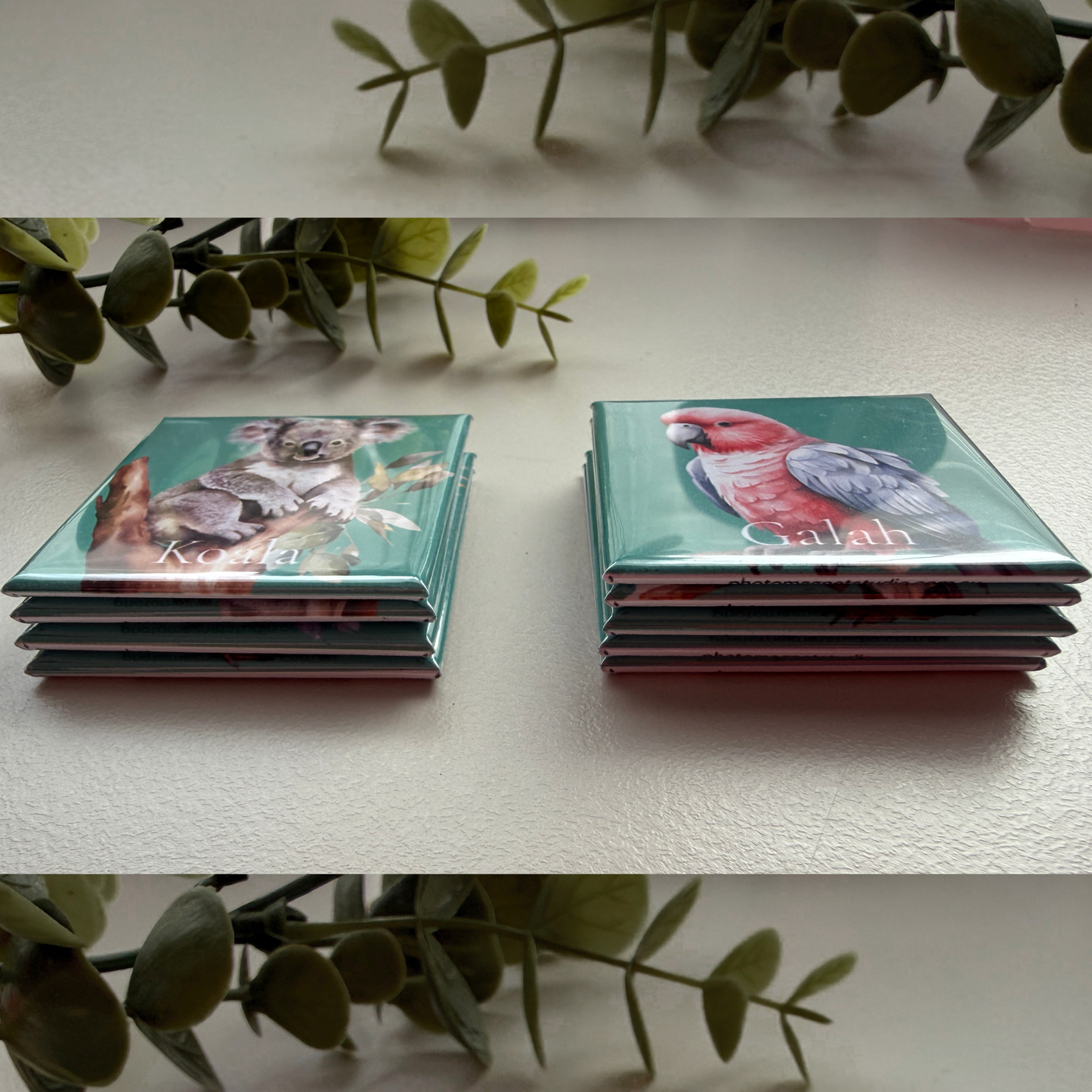 The Australian Wildlife Collection | Set of 9 Fridge Magnets Australia