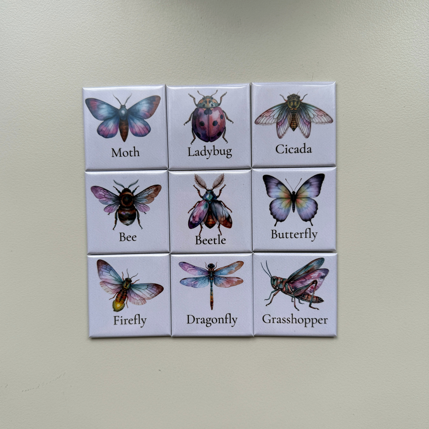 The Botanical Insect Collection | Set of 9 Fridge Magnets Australia