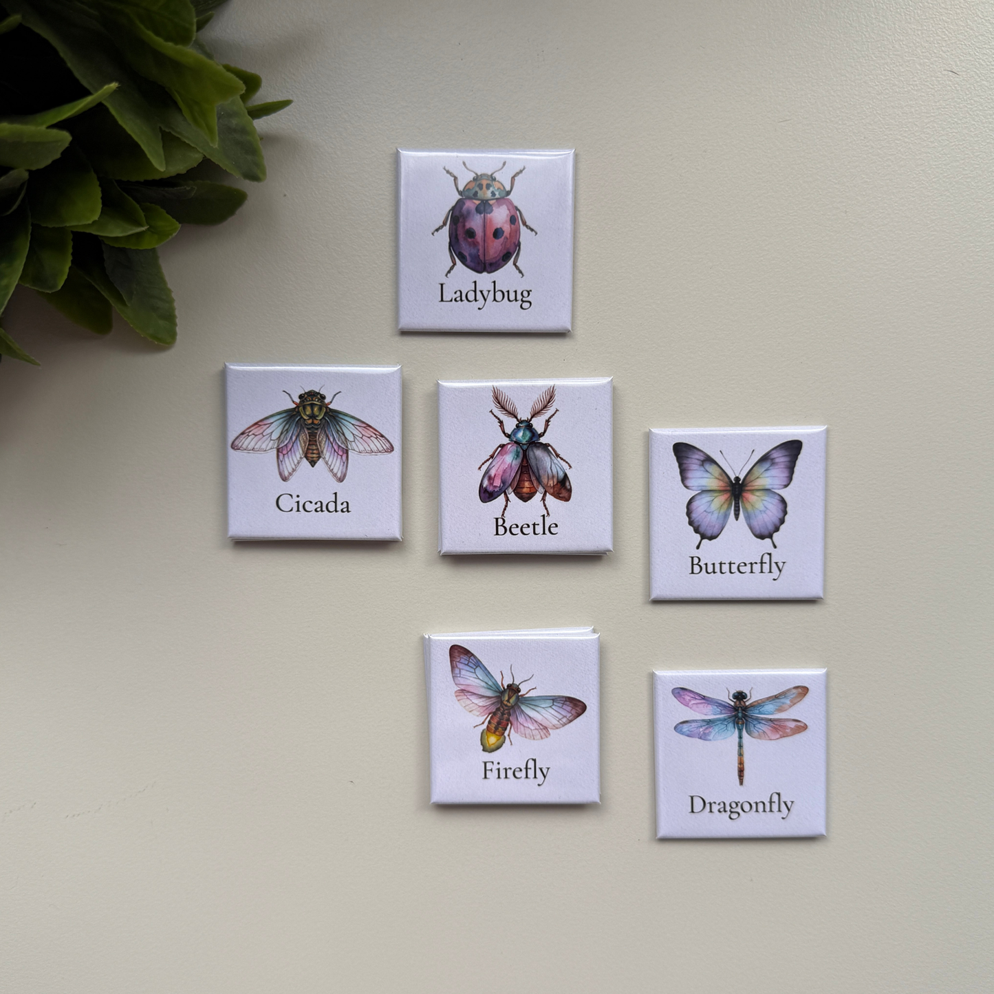 The Botanical Insect Collection | Set of 9 Fridge Magnets Australia