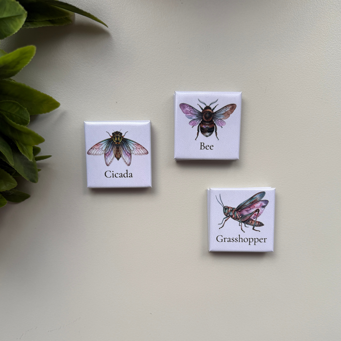 The Botanical Insect Collection | Set of 9 Fridge Magnets Australia