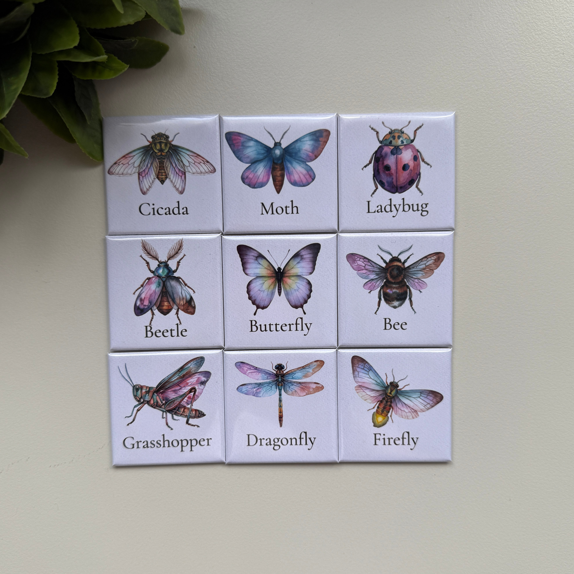 Botanical insect collection set of 9 fridge magnets handmade in Australia — unique decorative gift idea