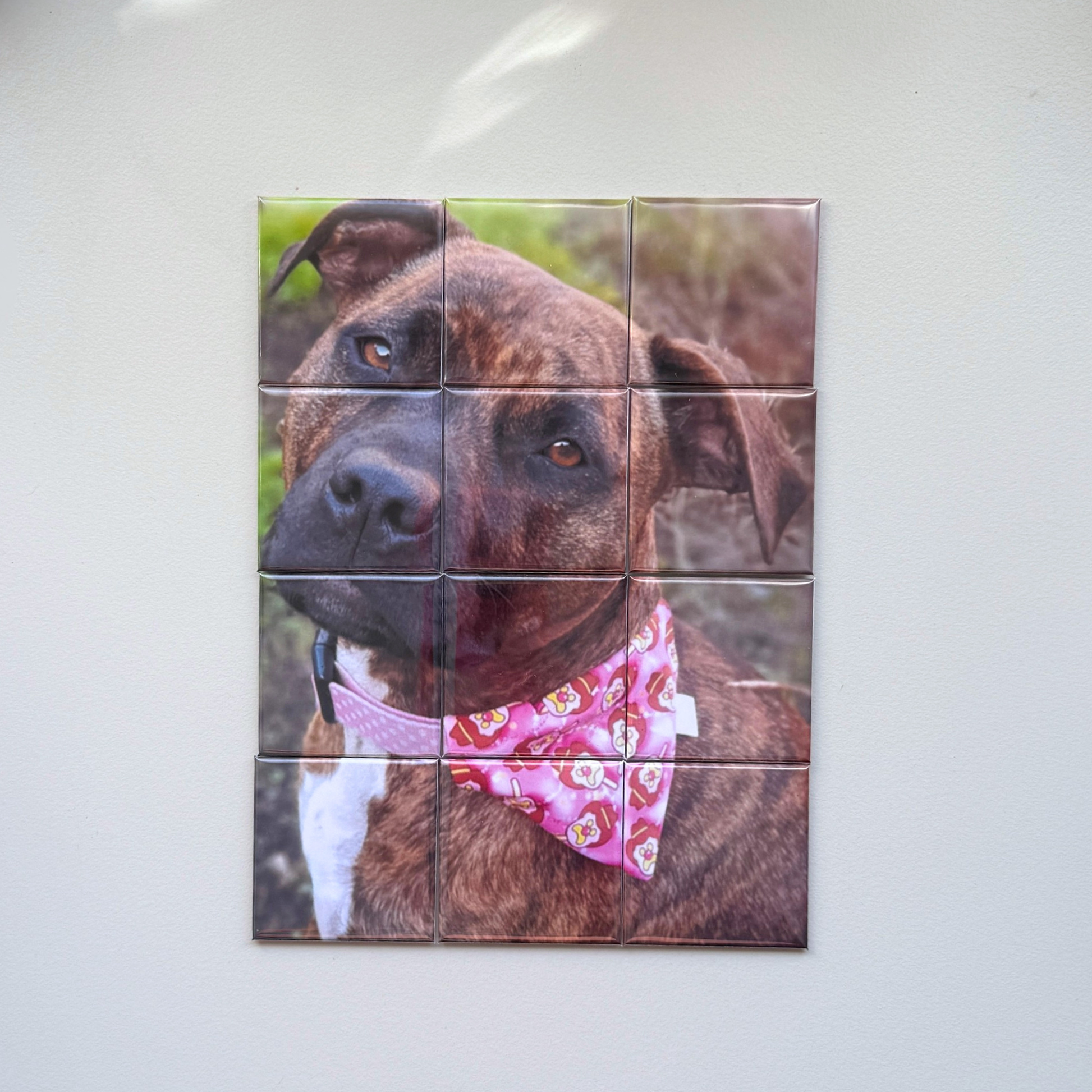  12-piece custom pet photo puzzle magnets handmade in Australia — personalised cat and dog fridge magnet set, unique gift idea