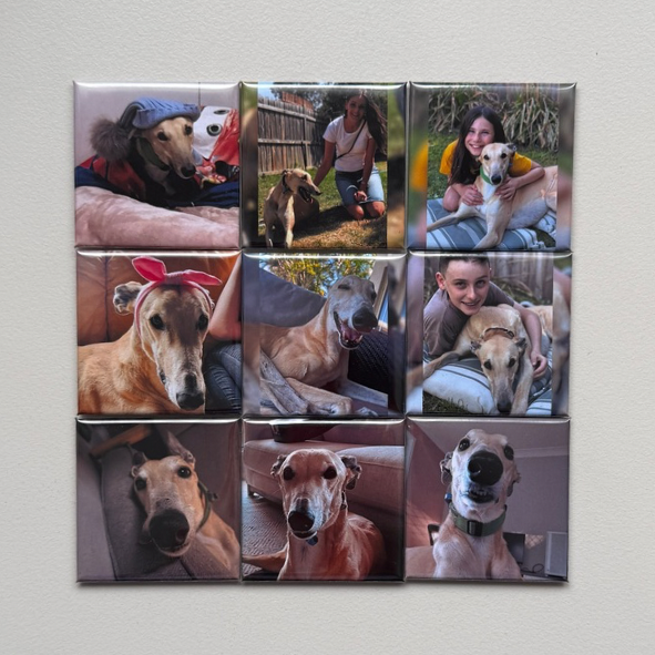 Set of 9 personalised pet photo magnets displayed in a grid on a wall, handmade in Australia